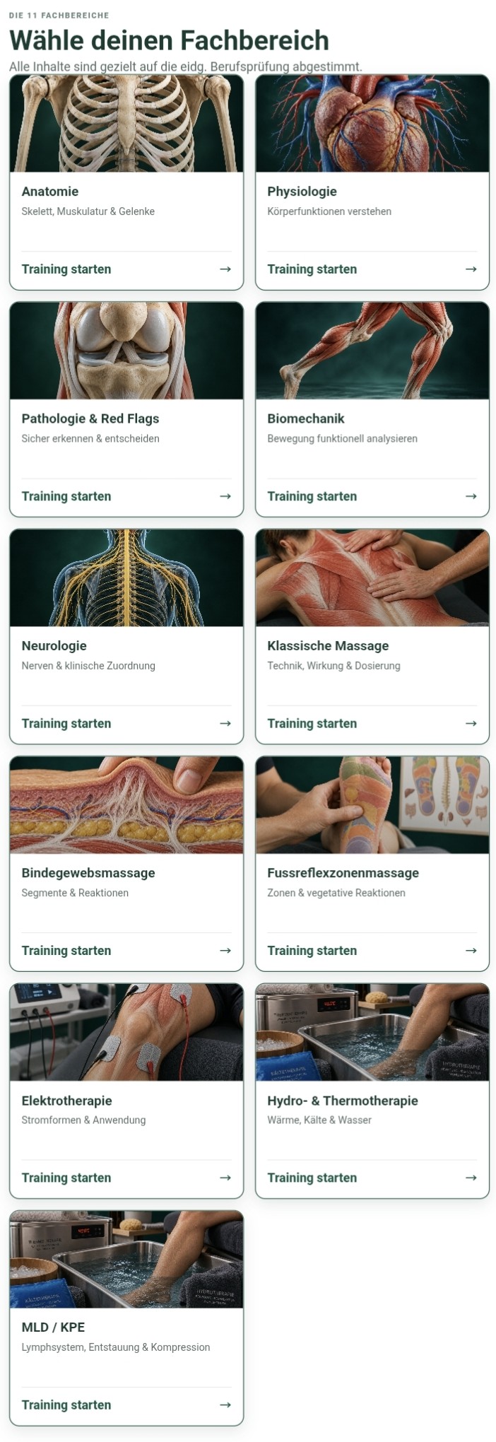 TherapieKompass BP: Fachbereiche Anatomie, Physiologie, Pathologie und Biomechanik